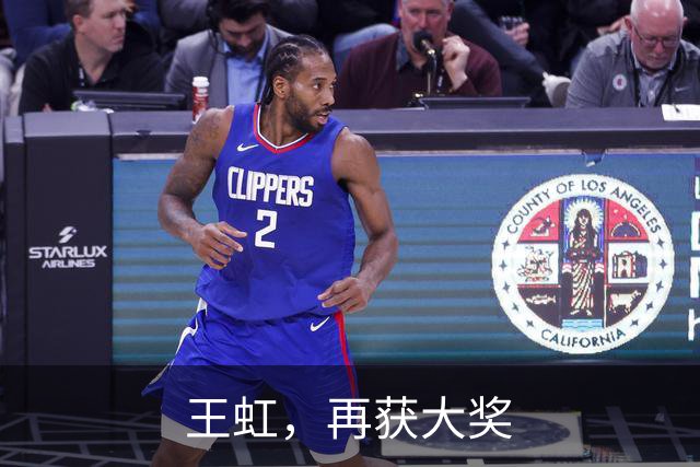 王虹，再获大奖