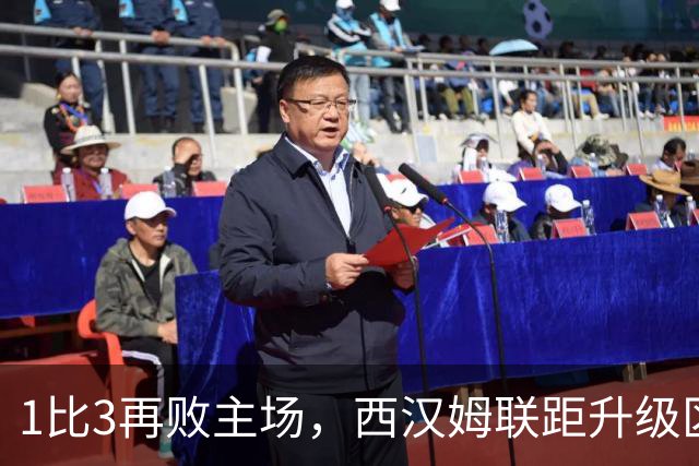 1比3再败主场，西汉姆联距升级区已差6分